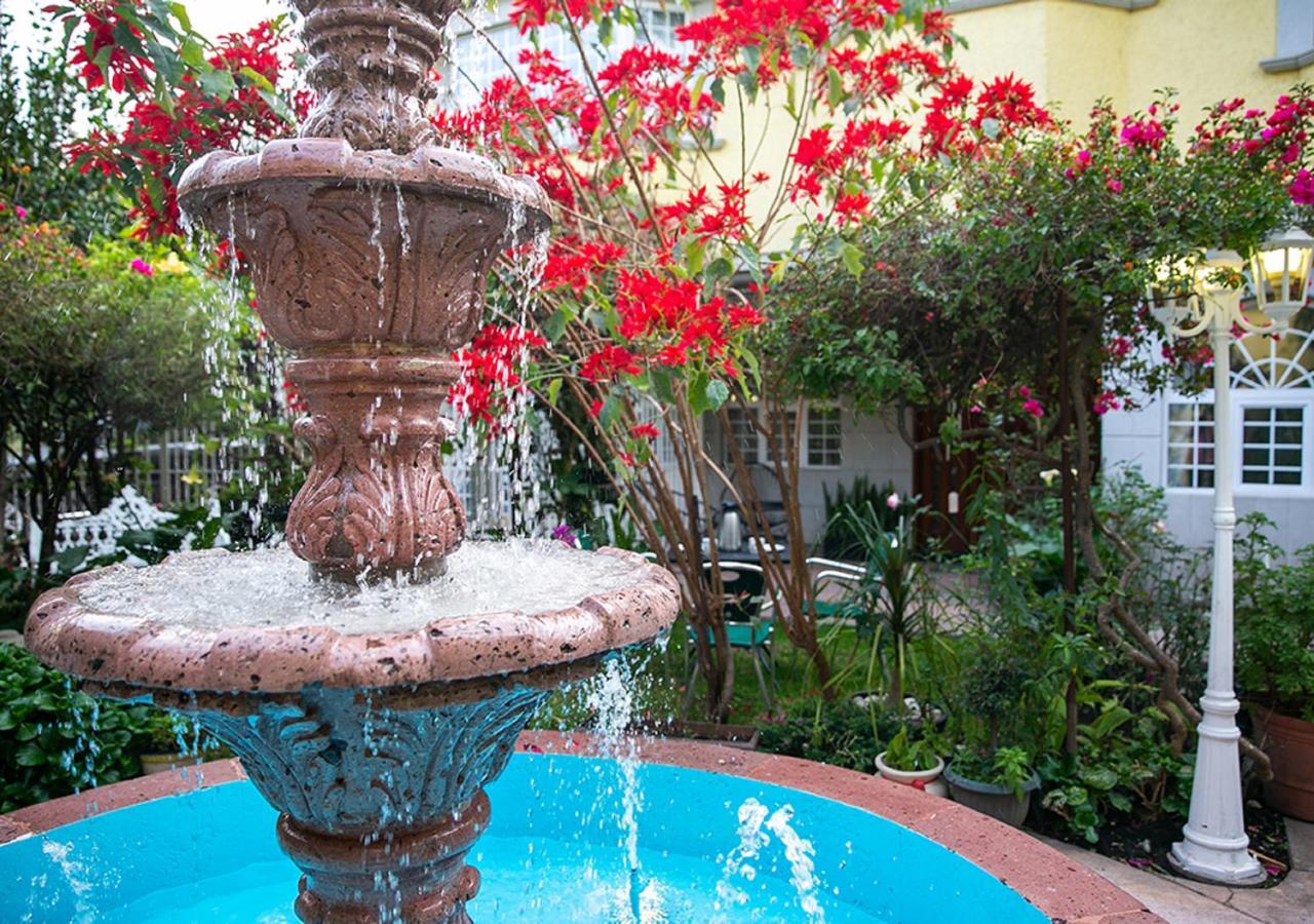 Bed and Breakfast Casa San Pedro Мехико Экстерьер фото