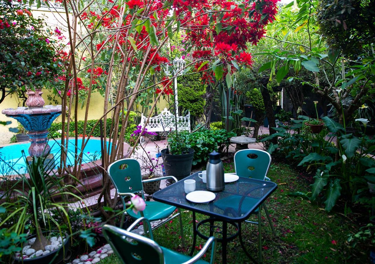 Bed and Breakfast Casa San Pedro Мехико Экстерьер фото