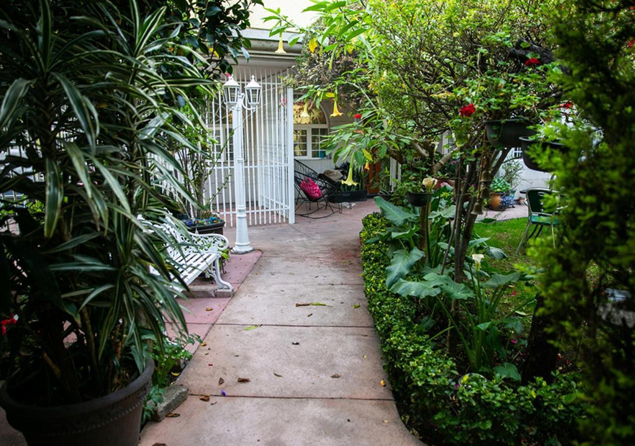 Bed and Breakfast Casa San Pedro Мехико Экстерьер фото